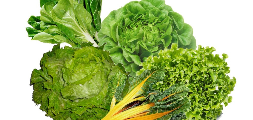 Cesta Verdura de Hoja