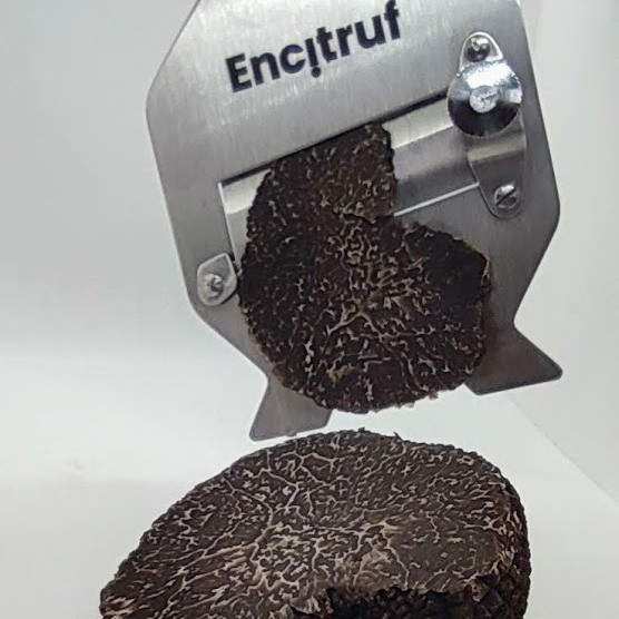 Trufa negra tuber melanosporum