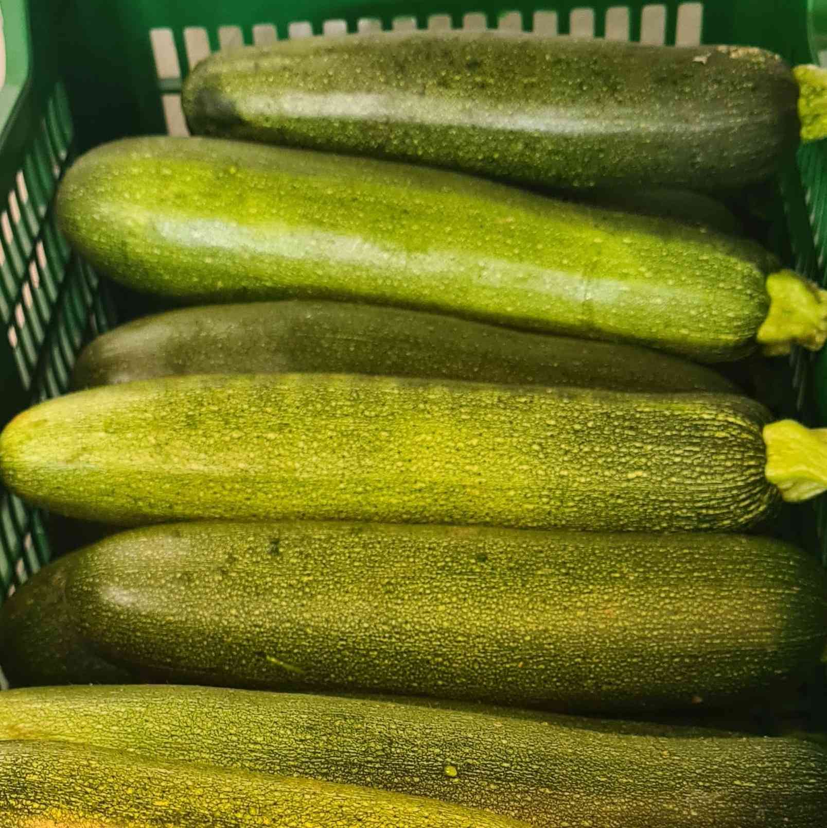 Calabacín Eco